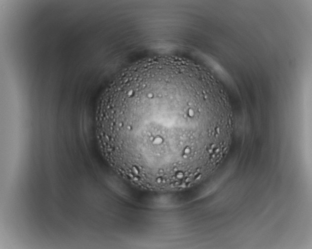 X0000114070365200910051343