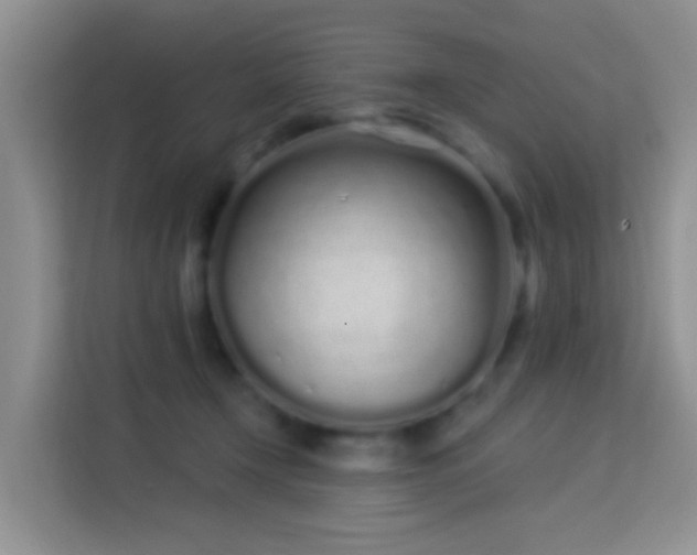 X0000114070366200910051343