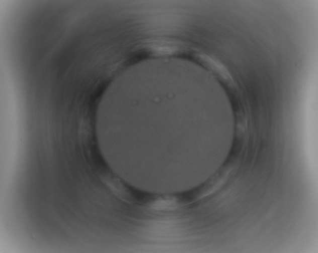 X0000114070369200910051343