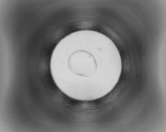 X0000114070370200910051343