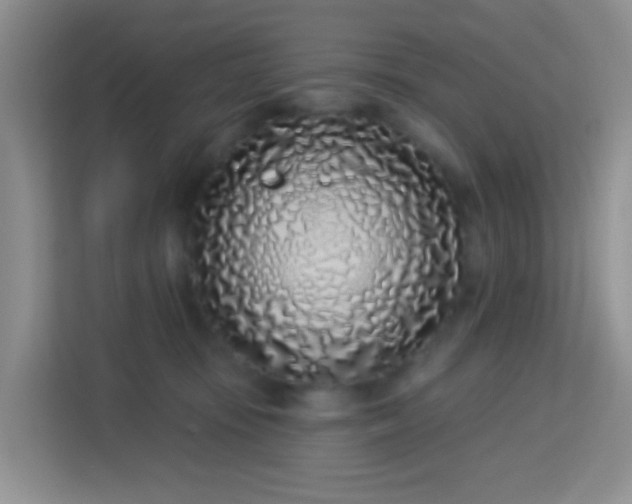 X0000114070371200910051343