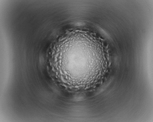 X0000114070373200910051343