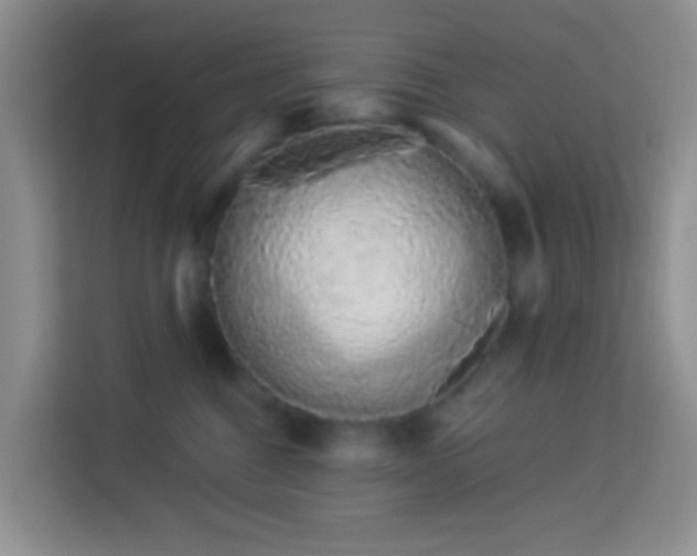 X0000114070376200910051343