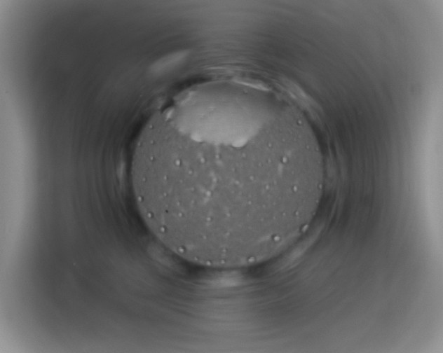 X0000114070377200910051343