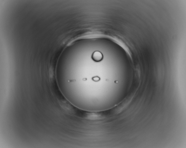 X0000114070380200910051343