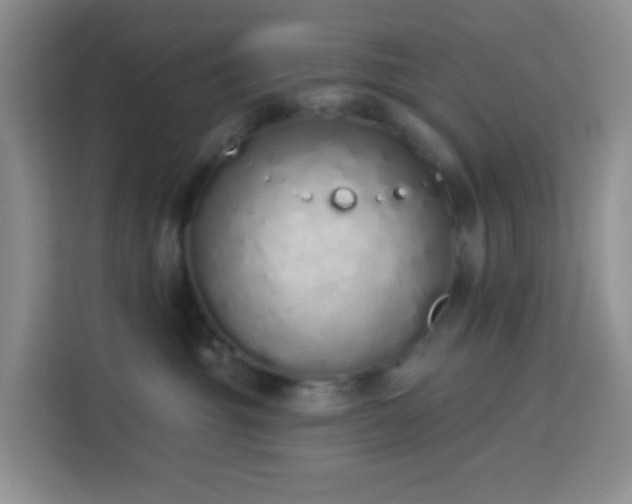 X0000114070381200910051343