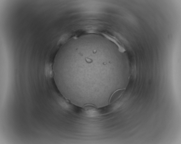 X0000114070383200910051343