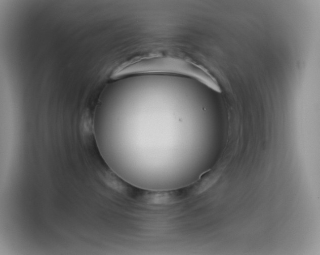 X0000114070384200910051343