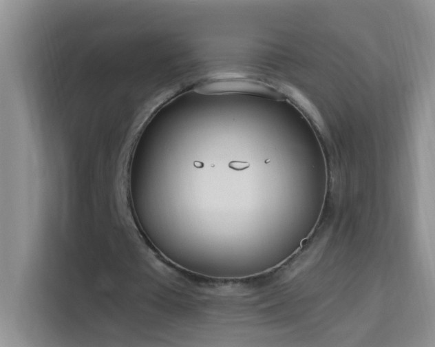 X0000114070385200910051342