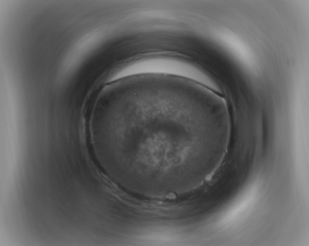 X0000114070387200910051342