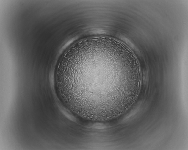 X0000114070390200910051342