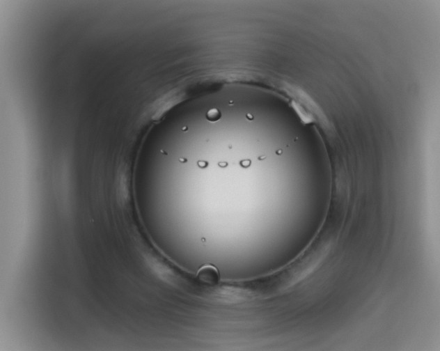 X0000114070393200910051342