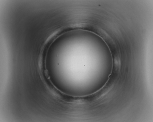 X0000114070396200910051342