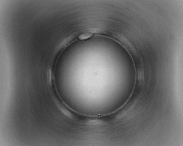 X0000114070397200910051342