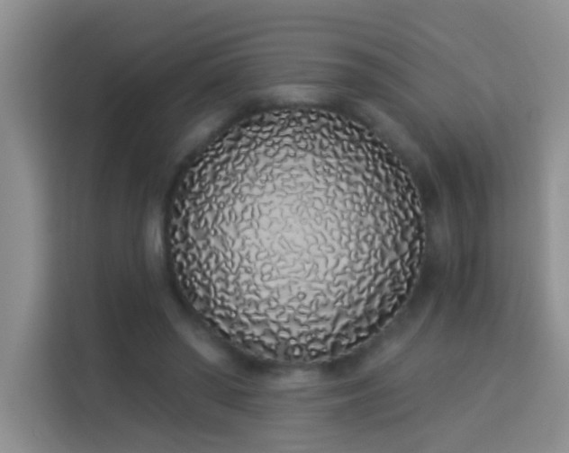 X0000114070398200910051342