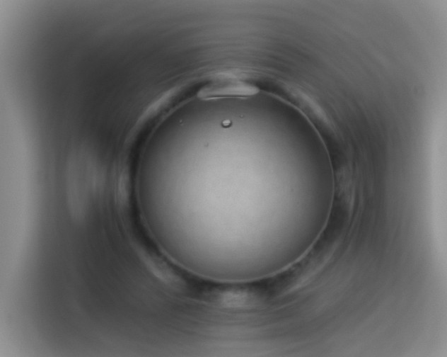 X0000114070400200910051342