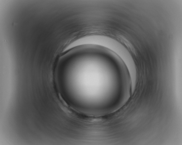 X0000114070401200910051342