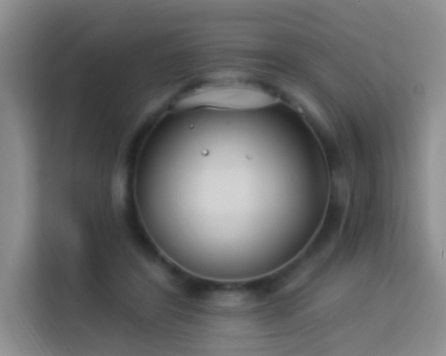 X0000114070404200910051342