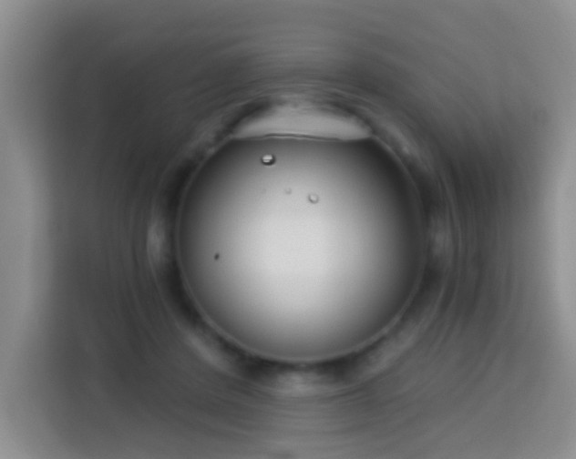 X0000114070408200910051342