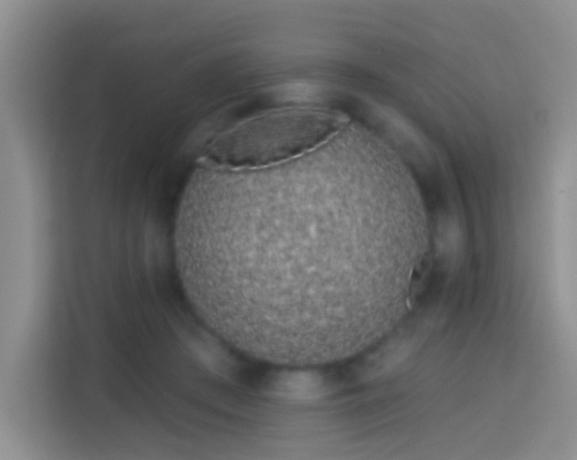 X0000114070409200910051342