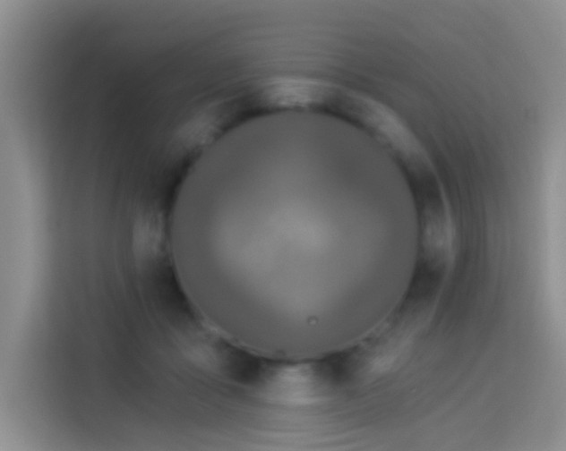 X0000114070411200910051342