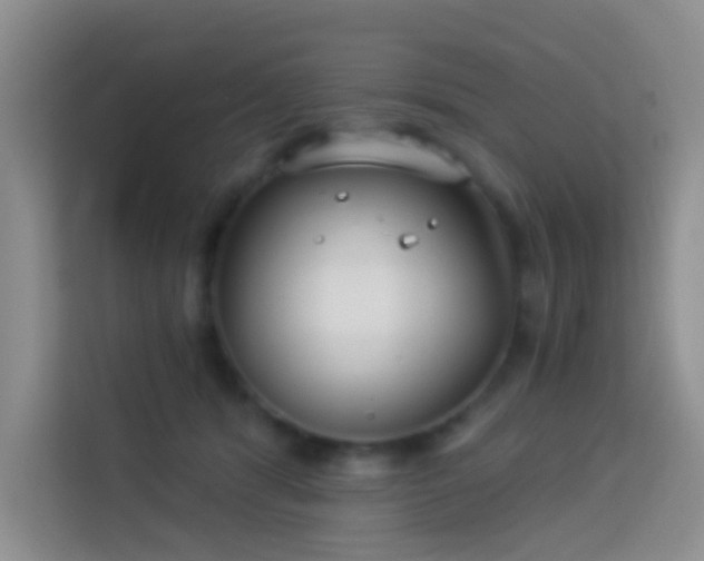 X0000114070416200910051342