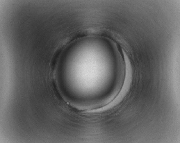 X0000114070419200910051342