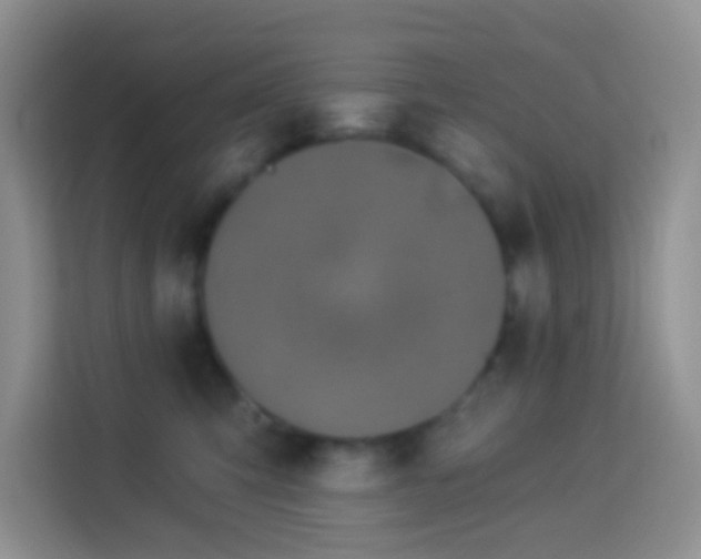 X0000114070423200910051342