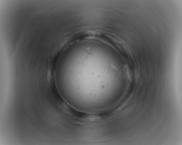 X0000114070424200910051342