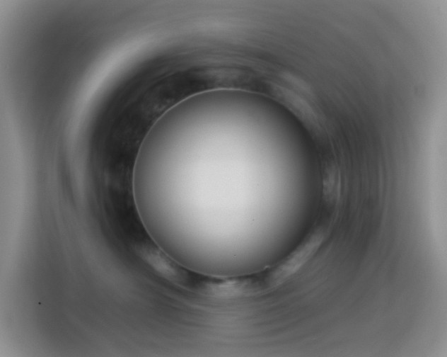 X0000114070430200910051342