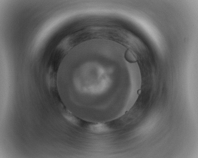 X0000114070431200910051342