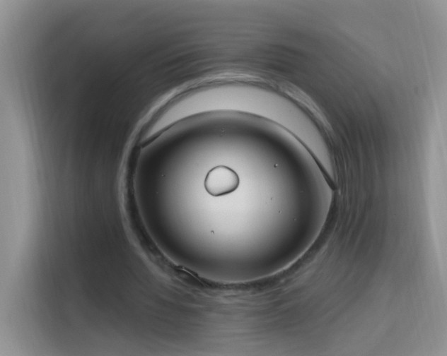 X0000114070436200910051341