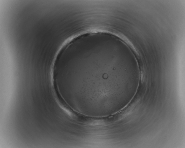 X0000114070438200910051341