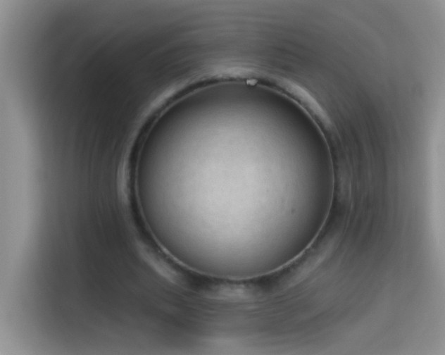 X0000114070439200910051341