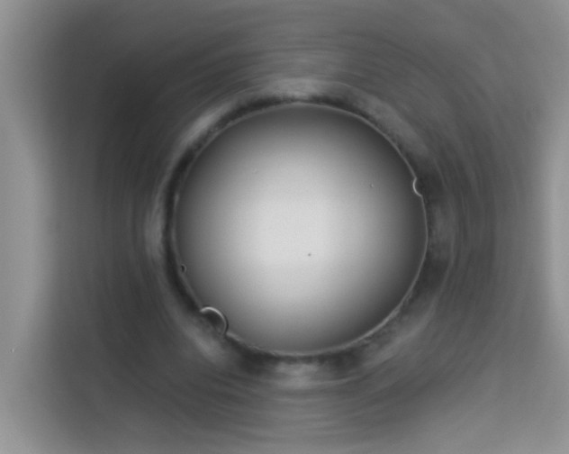 X0000114070440200910051341