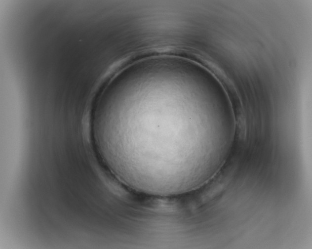 X0000114070442200910051341