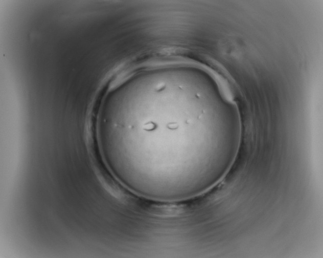 X0000114070443200910051341