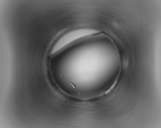 X0000114070444200910051341