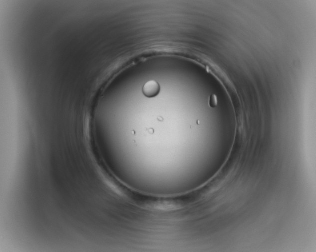 X0000114070445200910051341