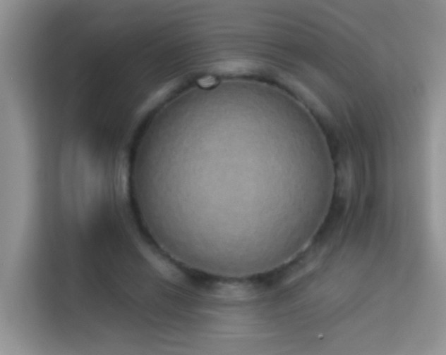 X0000114070446200910051341