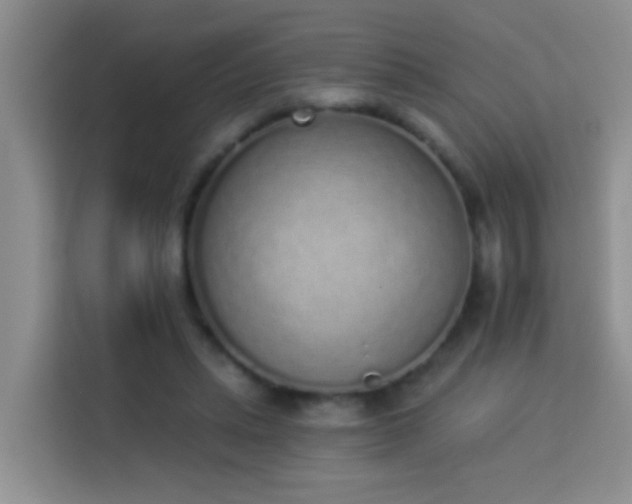 X0000114070447200910051341