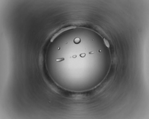 X0000114070448200910051341