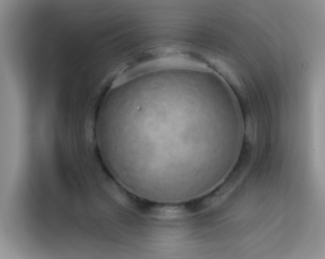 X0000114070449200910051341