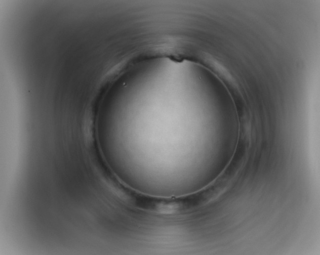 X0000114070450200910051341