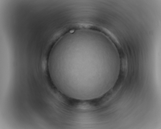 X0000114070451200910051341