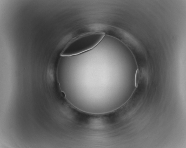 X0000114070452200910051341