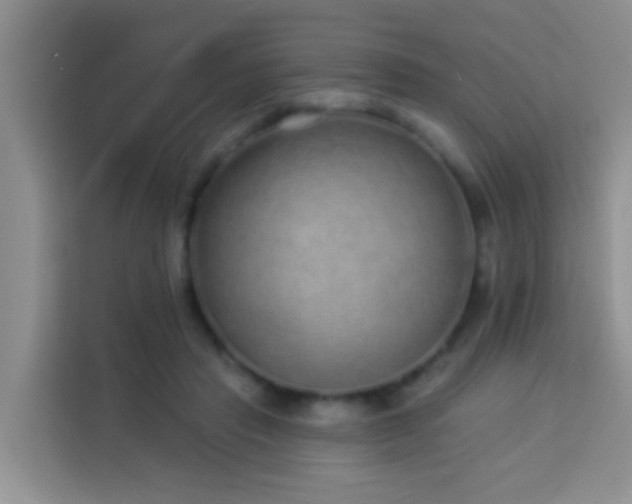 X0000114070453200910051341