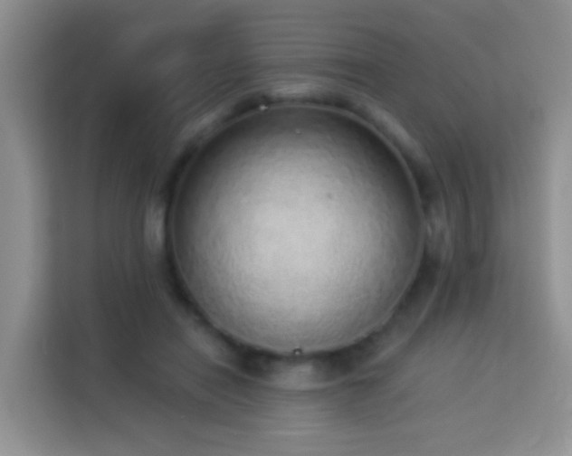 X0000114070454200910051341