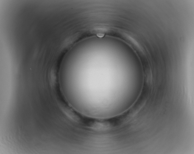 X0000114070455200910051341