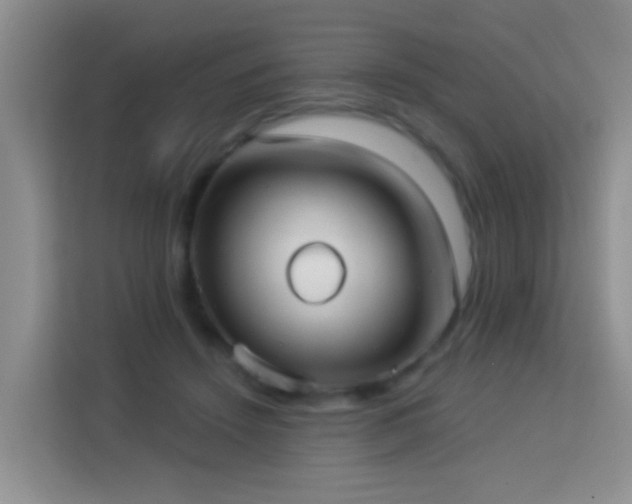 X0000114070456200910051341